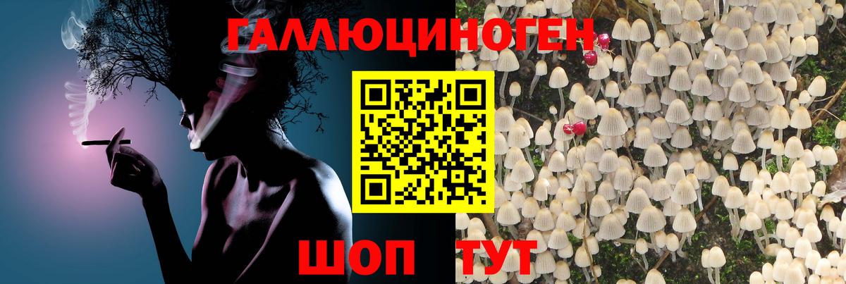 Псилоцибиновые грибы ЛСД Армавир