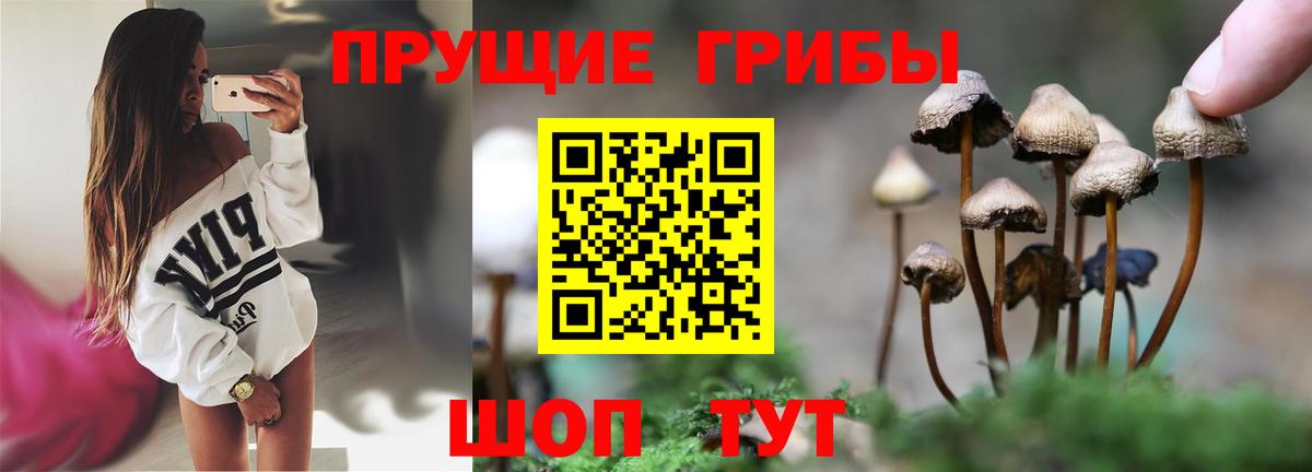 Армавир  Галлюциногенные грибы Magic Shrooms  Вход с VPN 